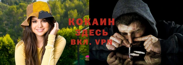 мяу мяу мука Арсеньев