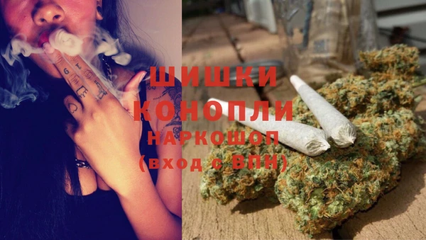 ешки Аркадак