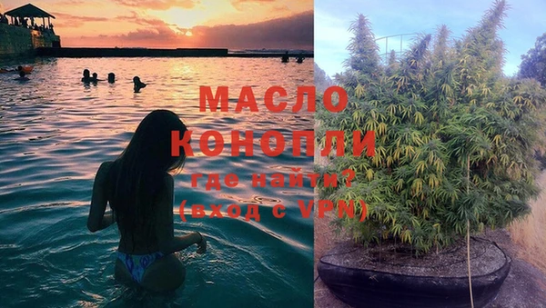 мяу мяу мука Арсеньев