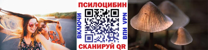 Галлюциногенные грибы Magic Shrooms Солигалич
